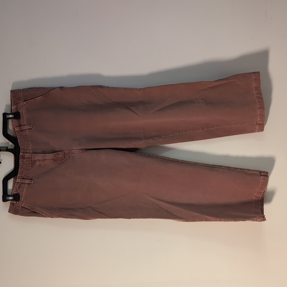 Sanctuary Women's Chinos in Rust